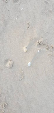 Baltık Denizi plajın kumları