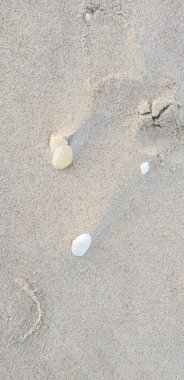 Baltık Denizi plajın kumları