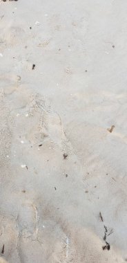 Baltık Denizi plajın kumları