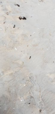 Baltık Denizi plajın kumları