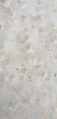 Baltık Denizi plajın kumları