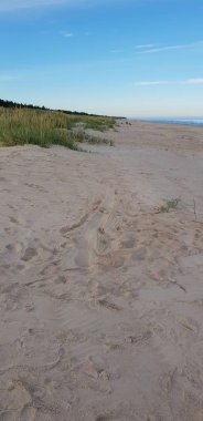 Baltık Denizi plajın kumları