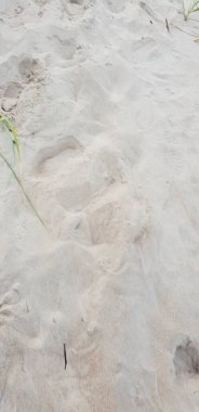 Baltık Denizi plajın kumları