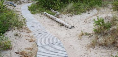 Yol, yol Baltık Denizi plaja