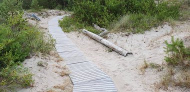 Yol, yol Baltık Denizi plaja