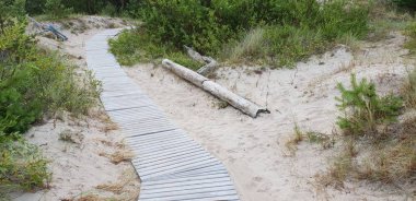 Yol, yol Baltık Denizi plaja