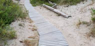 Yol, yol Baltık Denizi plaja