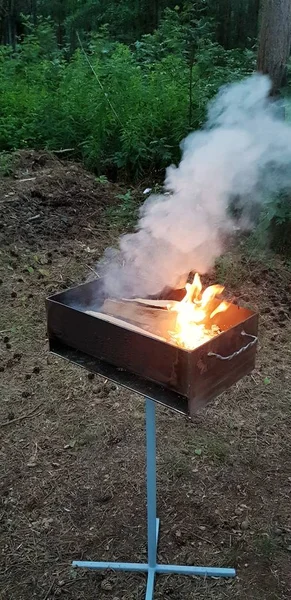 Campfire Fire Day — Stock Photo, Image