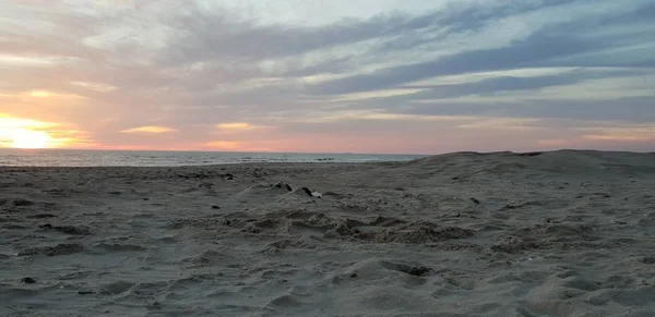 Baltic Sea Beach Seaside Coastline Sunset Summer Evening — Stock Photo, Image