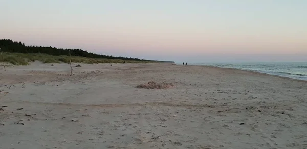 Playa Del Mar Báltico Playa Costa Durante Atardecer Noche Verano —  Fotos de Stock