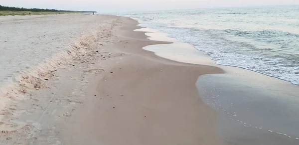 Baltık Denizi Plaj Deniz Kıyı Şeridi Günbatımı Yaz Akşamları Sırasında — Stok fotoğraf