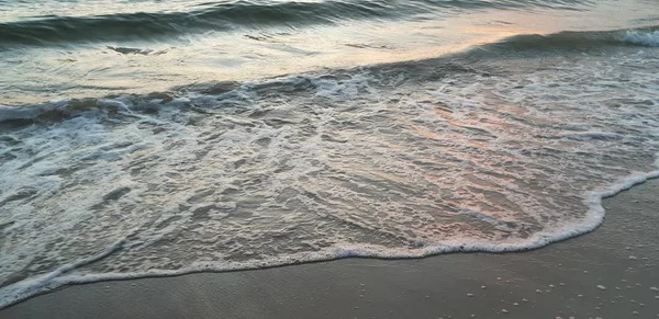 Baltık Denizi plaj, deniz, kıyı şeridi günbatımı yaz akşamları sırasında.