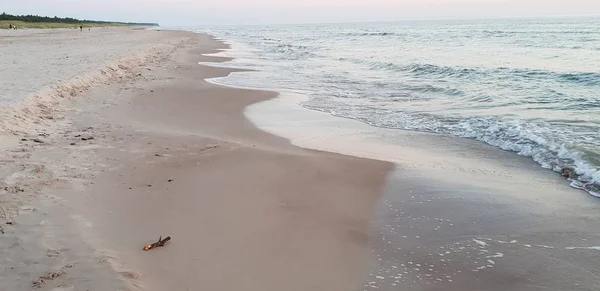 Baltık Denizi Plaj Deniz Kıyı Şeridi Günbatımı Yaz Akşamları Sırasında — Stok fotoğraf