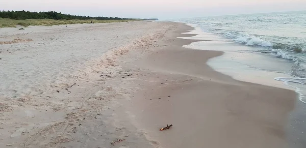 Baltık Denizi plaj, deniz, kıyı şeridi günbatımı yaz akşamları sırasında. 
