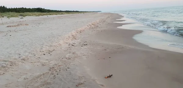 Baltık Denizi plaj, deniz, kıyı şeridi günbatımı yaz akşamları sırasında. 