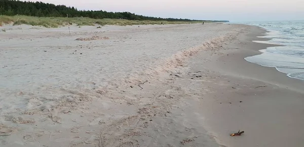 Балтийский Морской Пляж Море Береговая Линия Время Заката Летом Вечером — стоковое фото