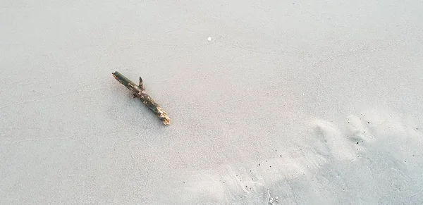 Baltık Denizi plaj, deniz, kıyı şeridi günbatımı yaz akşamları sırasında. 