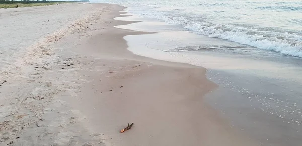 Baltık Denizi Plaj Deniz Kıyı Şeridi Günbatımı Yaz Akşamları Sırasında — Stok fotoğraf