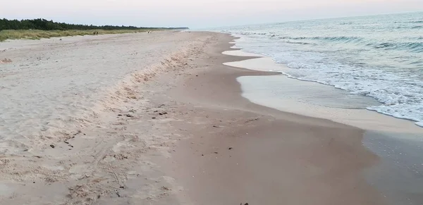 夏季黄昏时分的波罗的海海滩 海岸线 — 图库照片