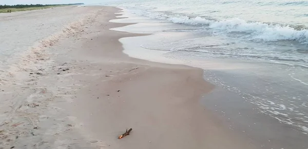 Baltık Denizi Plaj Deniz Kıyı Şeridi Günbatımı Yaz Akşamları Sırasında — Stok fotoğraf