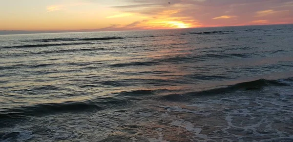 バルト海のビーチ 夏の夜に日没時に海岸線 — ストック写真