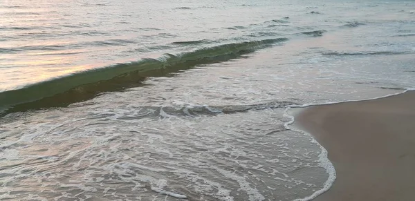 Baltık Denizi plaj, deniz, kıyı şeridi günbatımı yaz akşamları sırasında. 