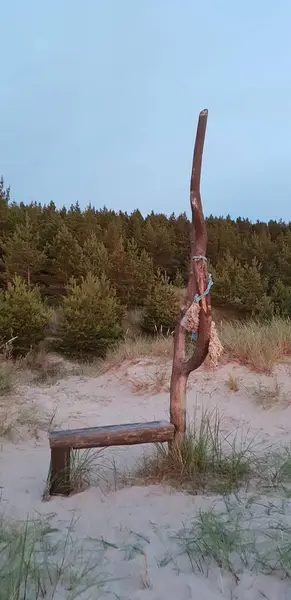 Bench Made Tree Baltic Sea Beach — Stock Photo, Image