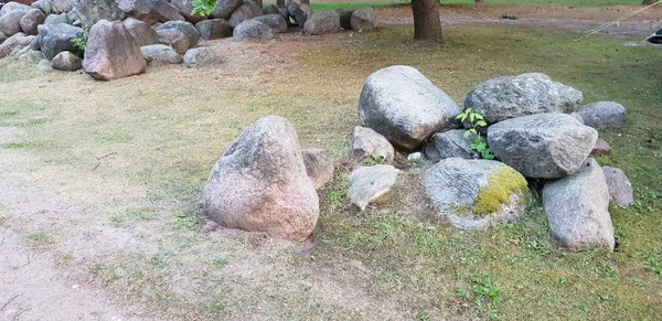 Vackra Stora Stenar Högen Marken Skogen Bakgrund Och Texturen Hos — Stockfoto