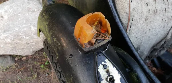 Única Motocicleta Vieja Pie Quieta Como Antigua — Foto de Stock