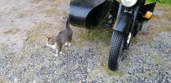 Hala kadar antika ayakta benzersiz eski motosiklet