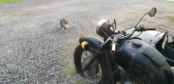 Hala kadar antika ayakta benzersiz eski motosiklet