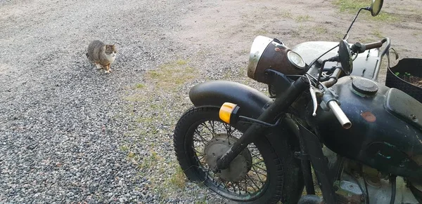 Hala Kadar Antika Ayakta Benzersiz Eski Motosiklet — Stok fotoğraf