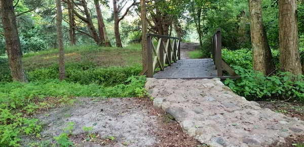 Bruggetje Water — Stockfoto