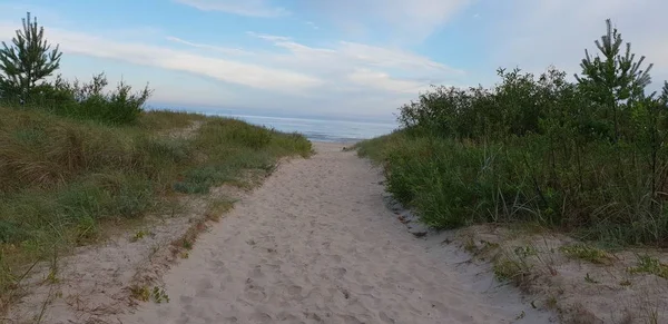Дюни Балтійського Моря Вранці Шлях Моря Пляж — стокове фото