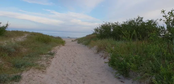 Dunas Mar Báltico Manhã Caminho Para Litoral Praia — Fotografia de Stock