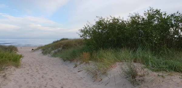 Dünen Der Ostsee Morgen Ein Weg Zum Meer Strand — Stockfoto