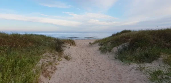 Dunes of the baltic sea in the morning, a pathway to seaside, beach.