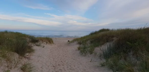 Wydmy Morza Bałtyckiego Godzinach Porannych Droga Morza Plaża — Zdjęcie stockowe