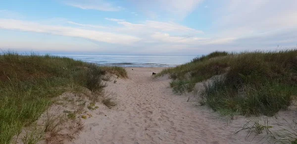 Sanddynerna Östersjön Morgonen Väg Till Havet Stränder — Stockfoto