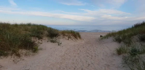 Dunas Del Mar Báltico Por Mañana Camino Playa Playa — Foto de Stock