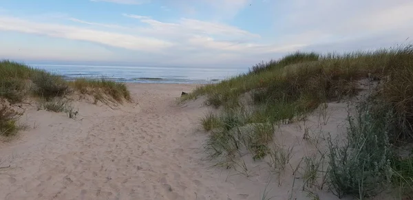 Duinen Van Oostzee Ochtend Een Weg Naar Zee Strand — Stockfoto