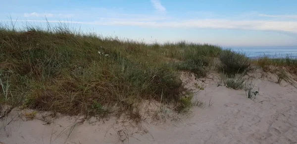 Dunas Del Mar Báltico Por Mañana Camino Playa Playa — Foto de Stock