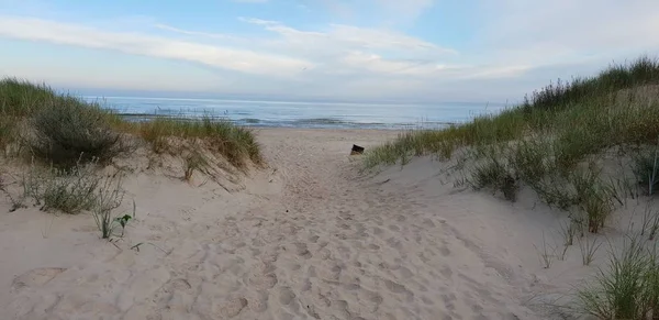 波罗的海的沙丘在早晨 通往海边的小路 — 图库照片
