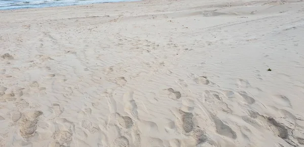 波罗的海海滩的沙子 — 图库照片