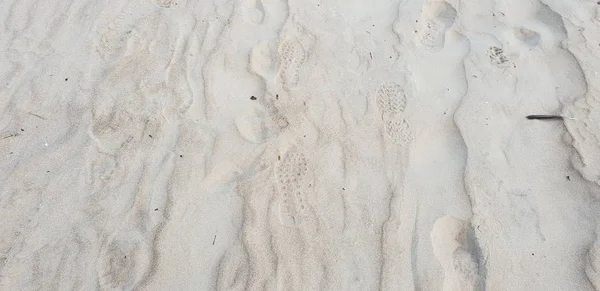 Baltık Denizi plajın kumları