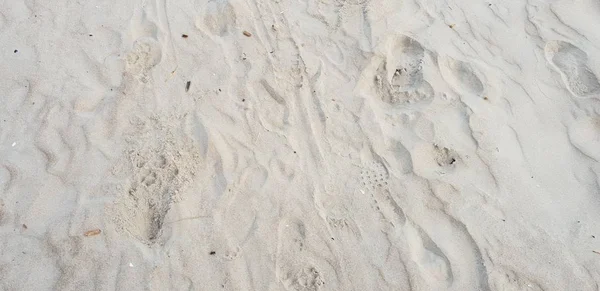 Baltık Denizi plajın kumları