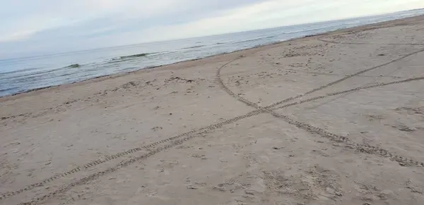 Östersjöns Strand Morgonen — Stockfoto