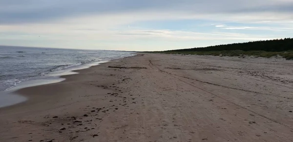 Baltık Denizi plaj sabah