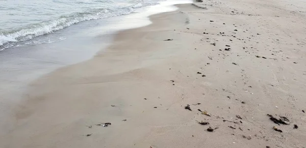 Spiaggia Del Mar Baltico Mattino — Foto Stock