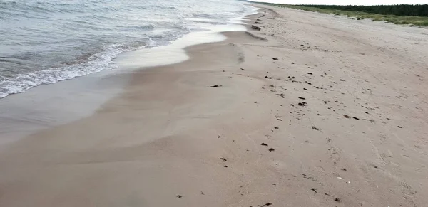 朝はバルト海のビーチ — ストック写真